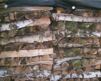 brennholzverkauf2